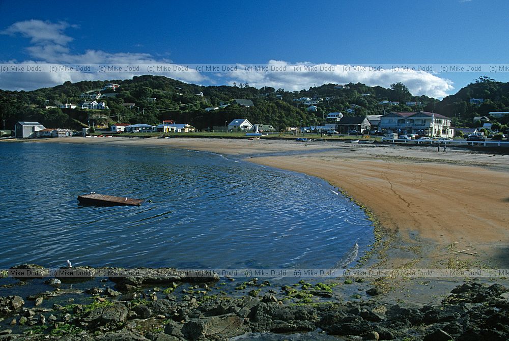 Halfmoon bay Stewart Island