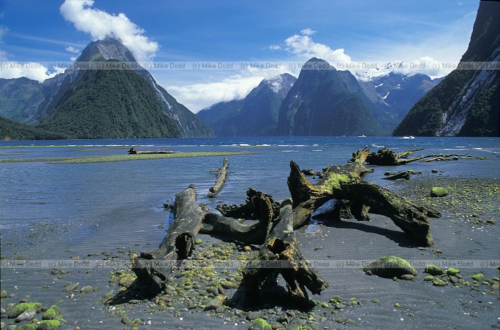 Sunny conditions at Milford Sound South Island