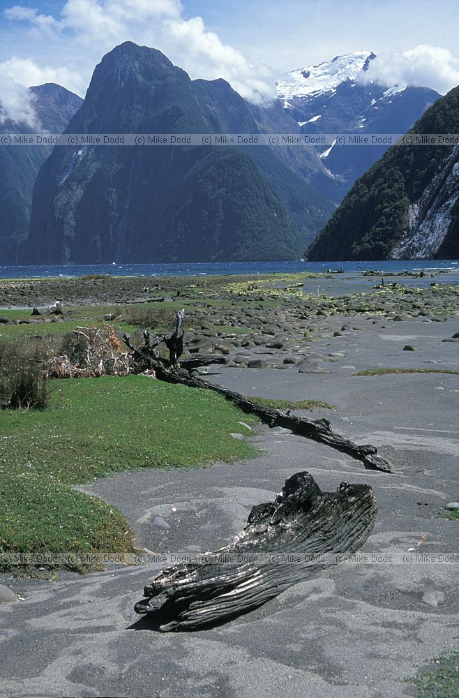 Sunny conditions at Milford Sound South Island