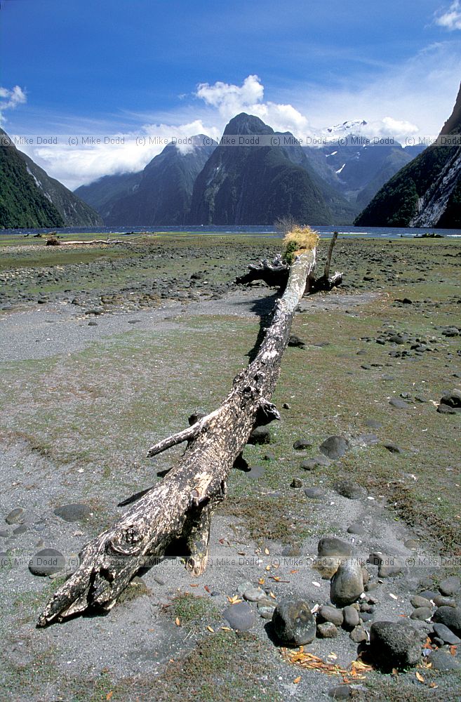 Sunny conditions at Milford Sound South Island