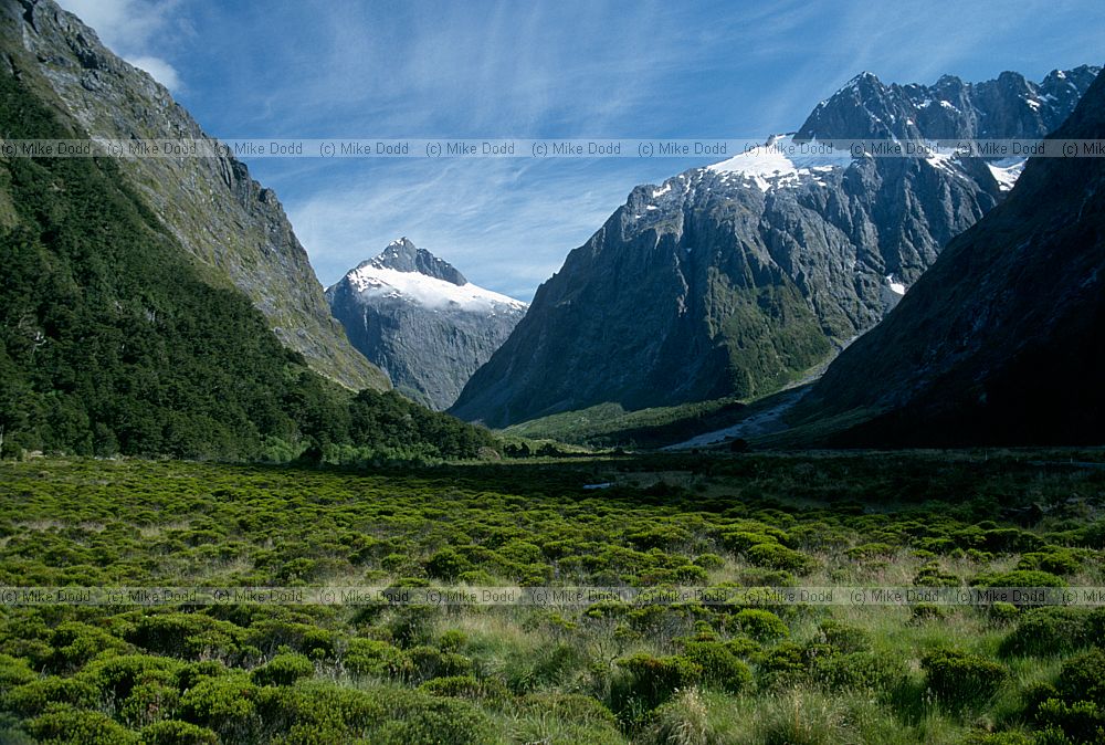 near Homer tunnel