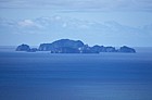 Alderman islands off coromandel peninsula