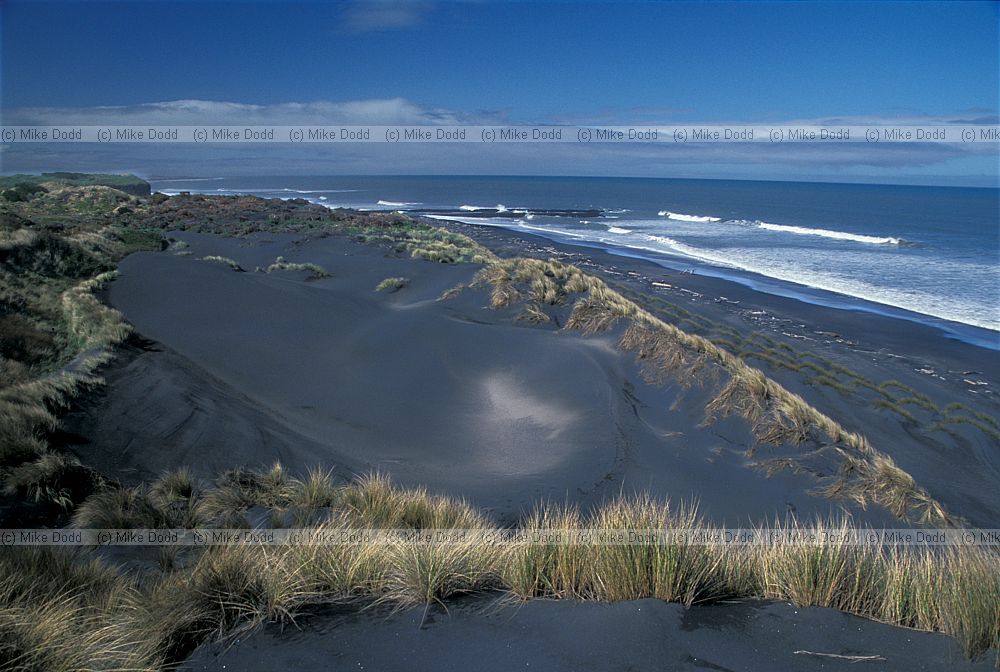 Black volcanic sand at Patea