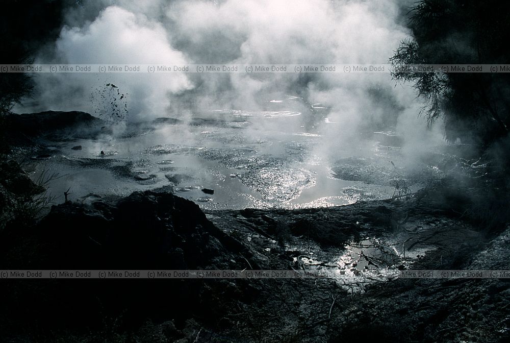 Boiling mud and steam Waiotapu