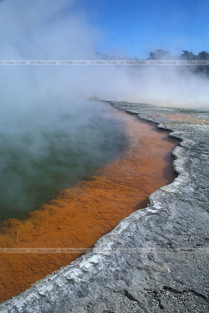 Champagne pool Waiotapu
