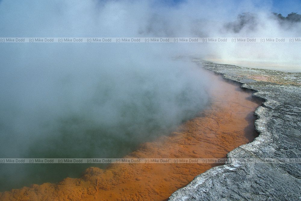Champagne pool Waiotapu