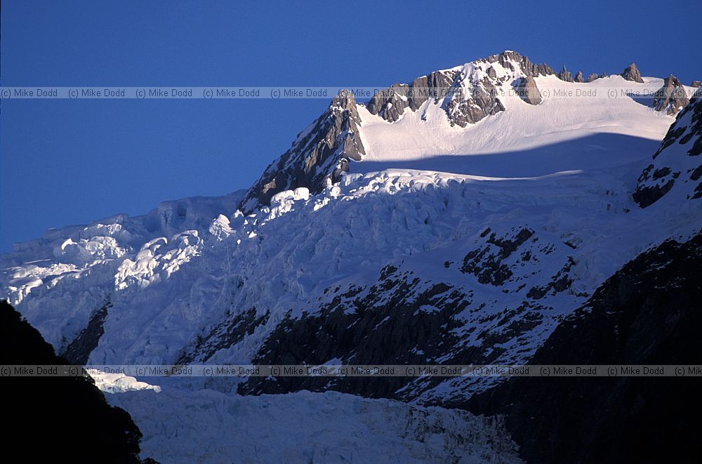 Fox glacier