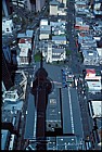 Auckland from tower