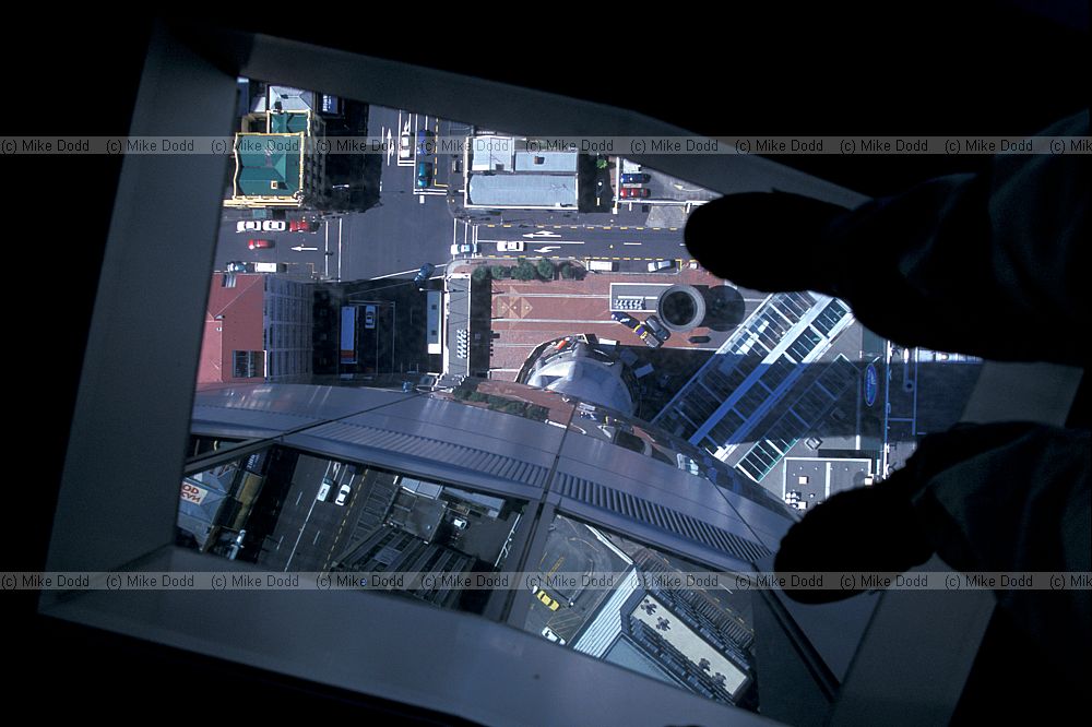 glass floor skytower Auckland