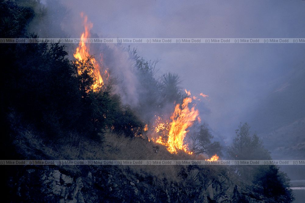 Moor burning Lake Howea