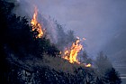 Moor burning Lake Howea