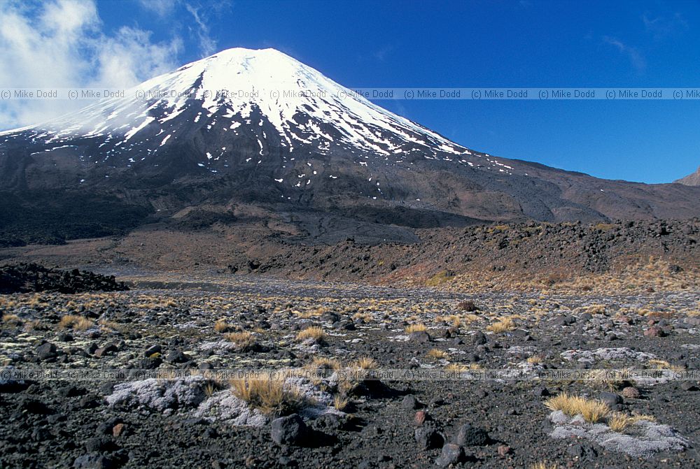 Mount Ngauruhoe volcano and larva field