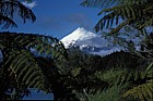 Mount Taranaki volcano or sometimes called mount Egremont volcano