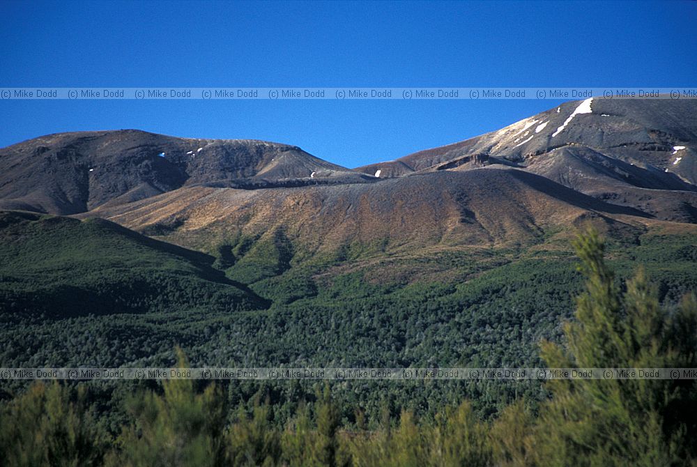 Mount Tongariro volcano