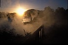 Steam at sunset in Rotorua park