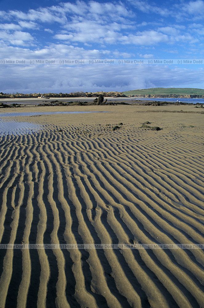 Sand ridges Owaka