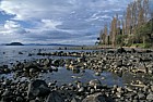 Shoreline Lake Taupo