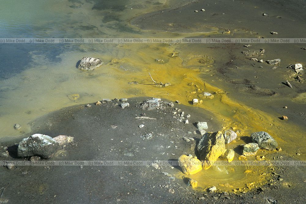 Sulphur spring Waiotapu