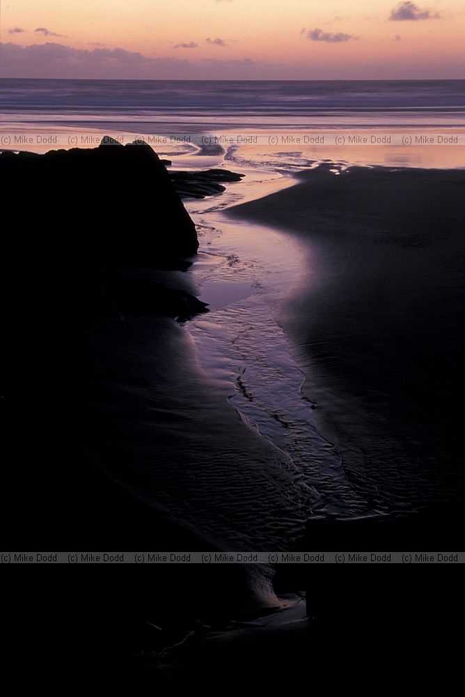 Sunset Muriwai beach