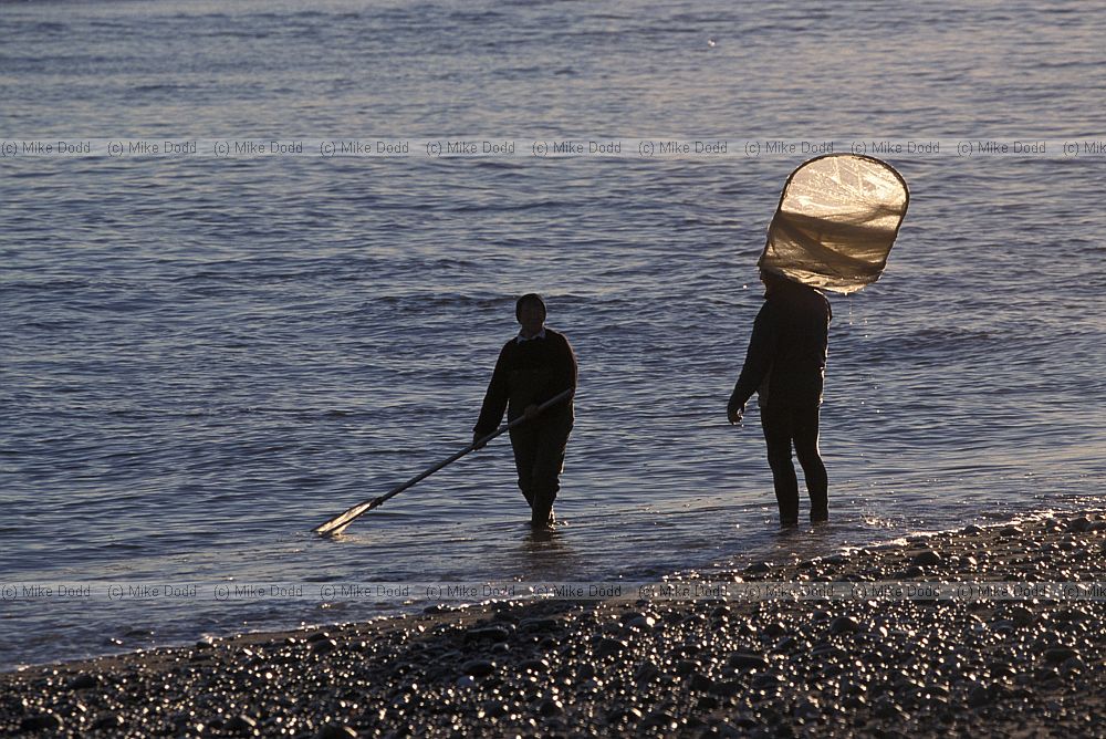 Whitebait fishermen Okarito