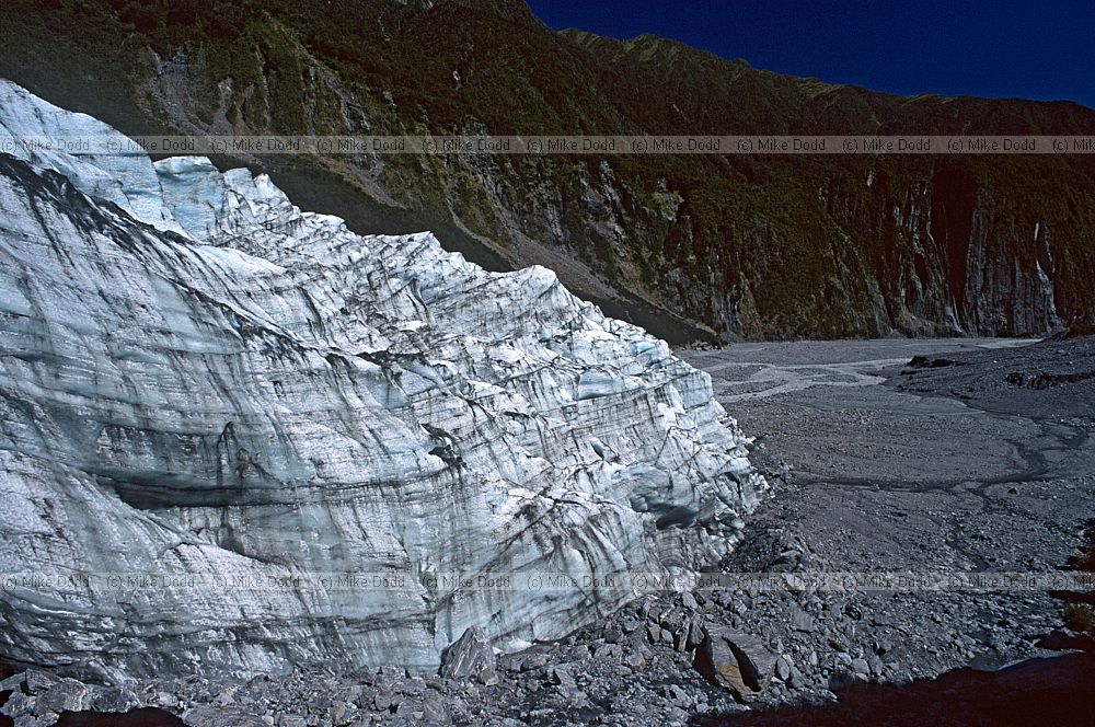 Fox glacier 1995
