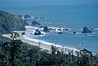 West coast coastline with rainforest and beach