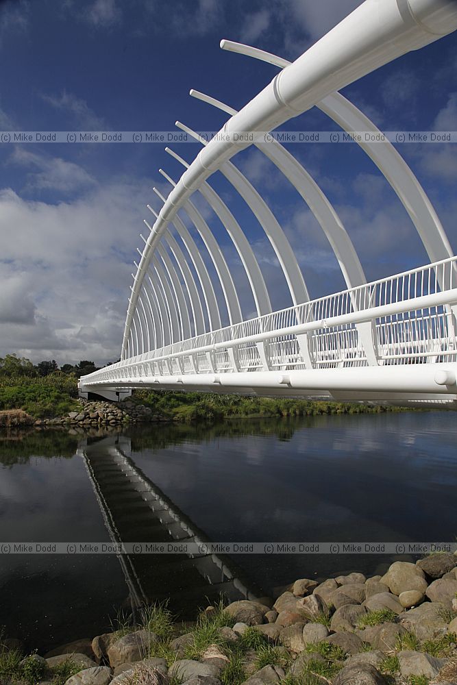 Te Rewa Rewa Bridge a pedestrian and cycleway bridge across the Waiwhakaiho River
