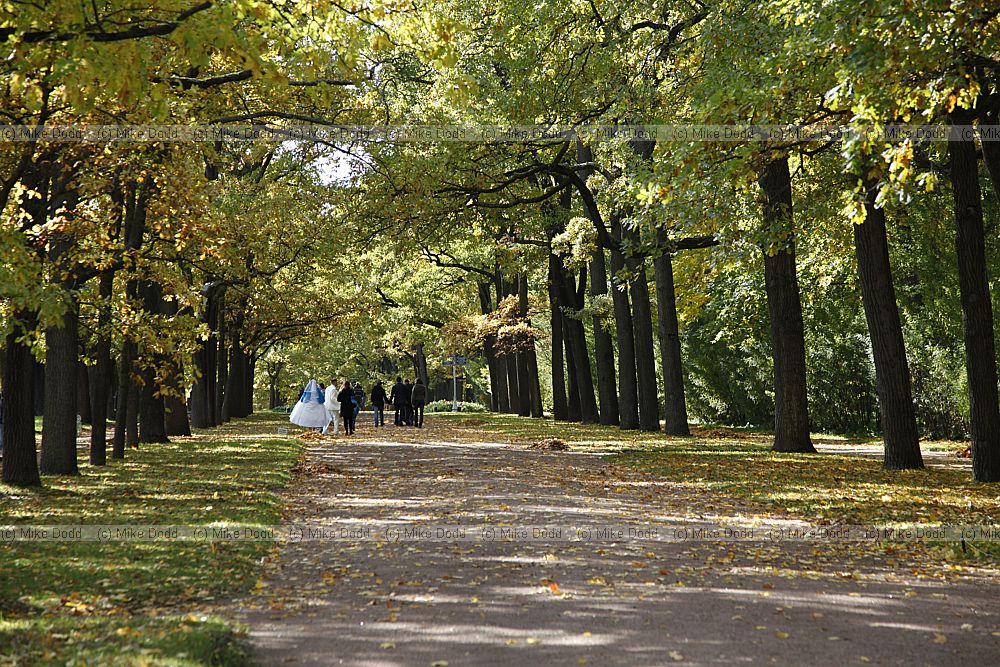 State Museum and Estate Tsarskoe Selo