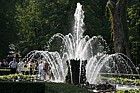 Fountain Peterhof