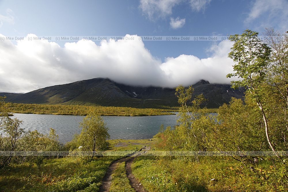 Lake Malii Vudyavr with Birch trees starting to turn yellow