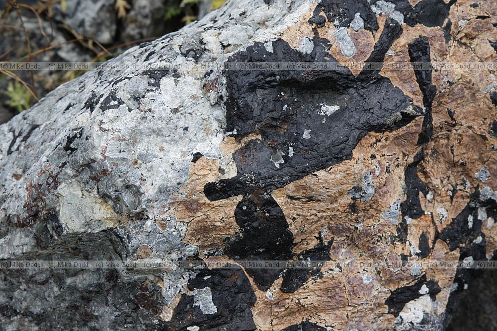 Nepheline syenite with black probably aegirine insertion