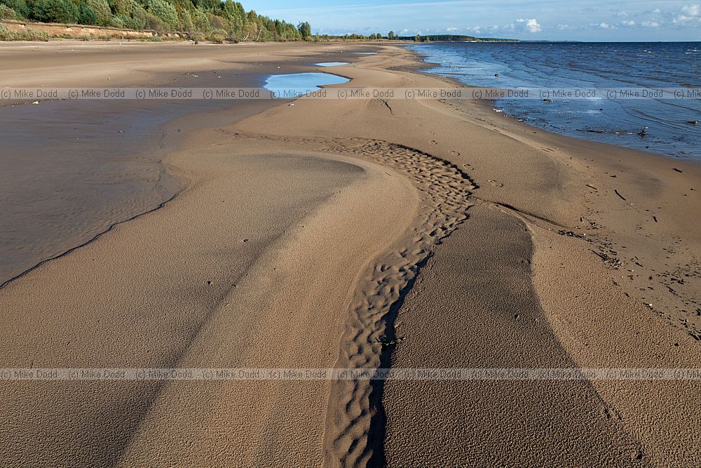 Patterns in the sand