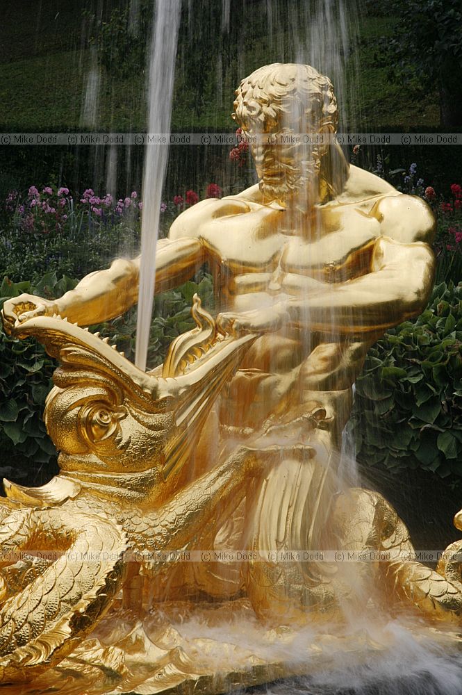 Golden fountain Quaken fighting beast Peterhof