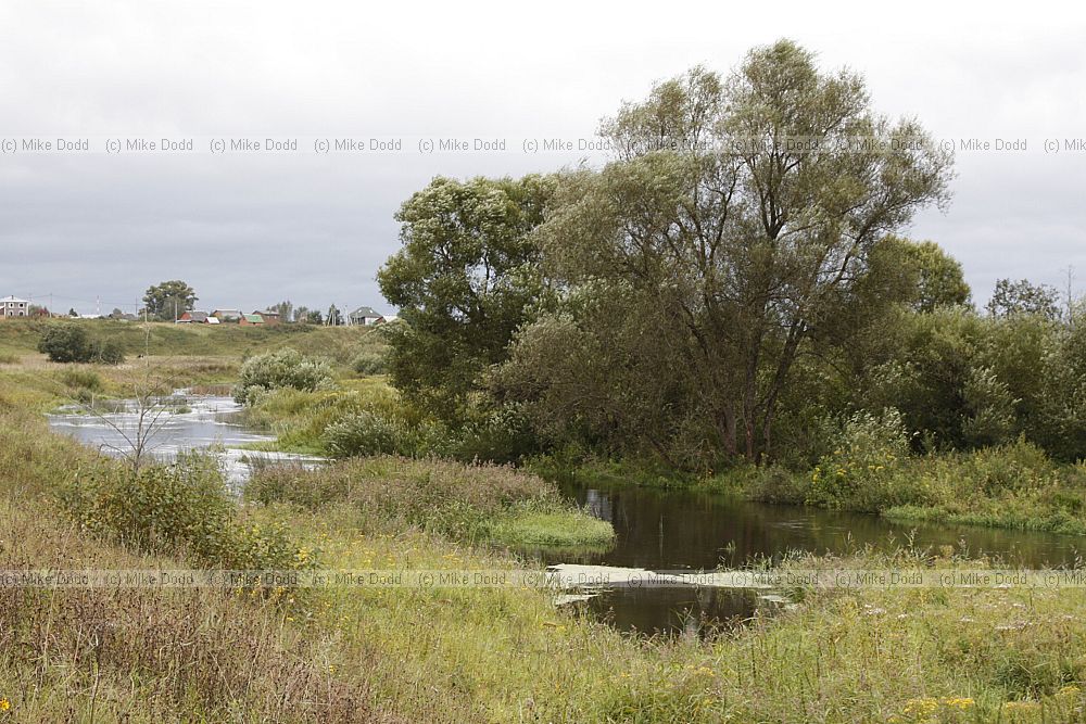 River Inkona with wooded bank and meadow area