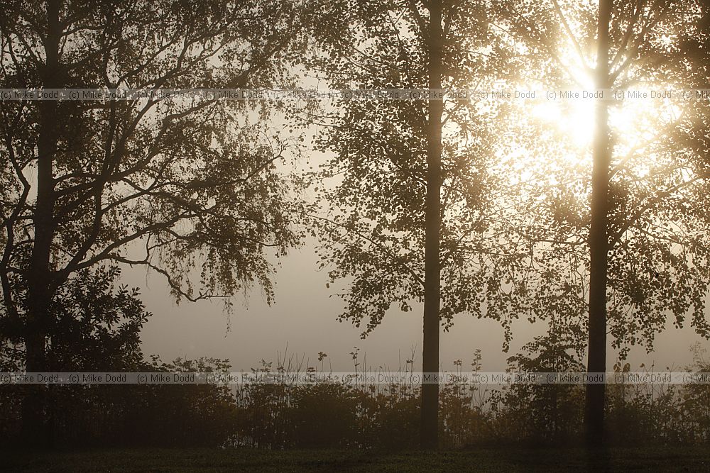 Sunrise Imatra Finland