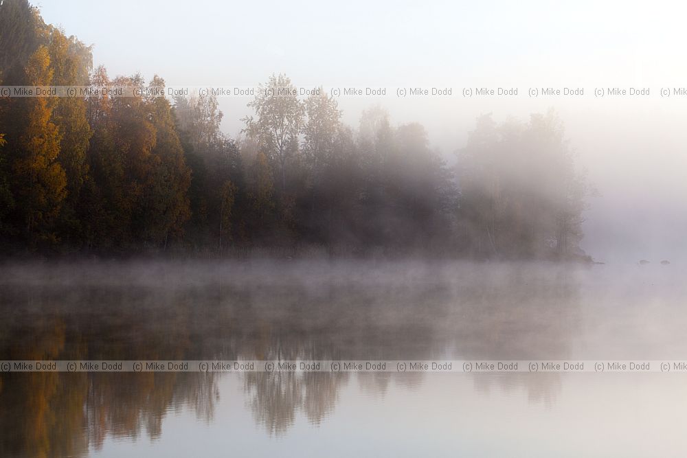 Sunrise Imatra Finland