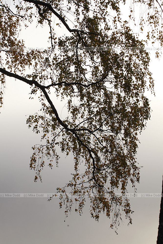 Sunrise Imatra Finland