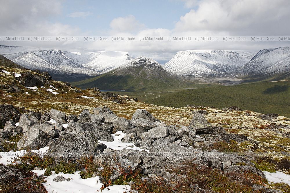 Tundra birch forest and snow on Khibini mountains