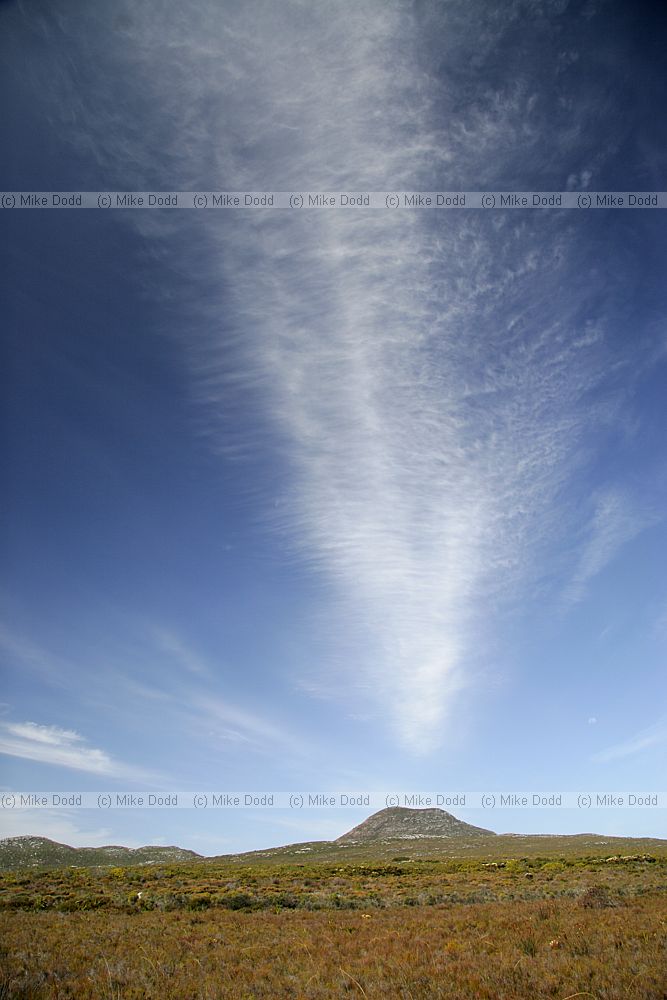 Contrail cloud