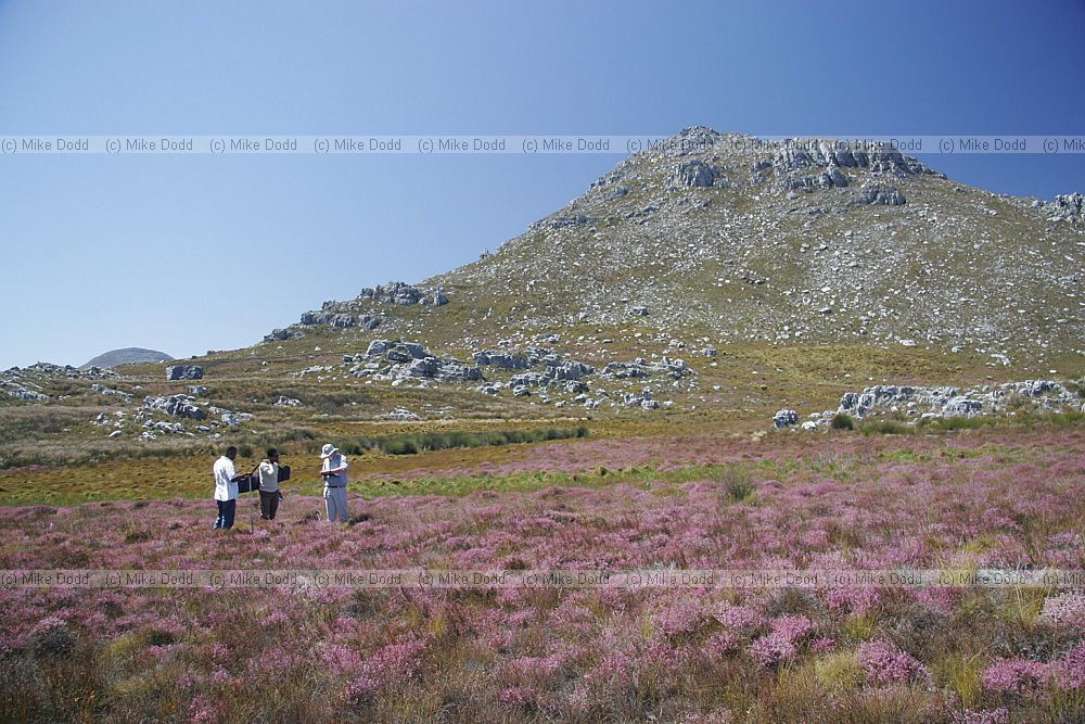 David Gowing Yoseph Araya and Rhuliani at new year's peak