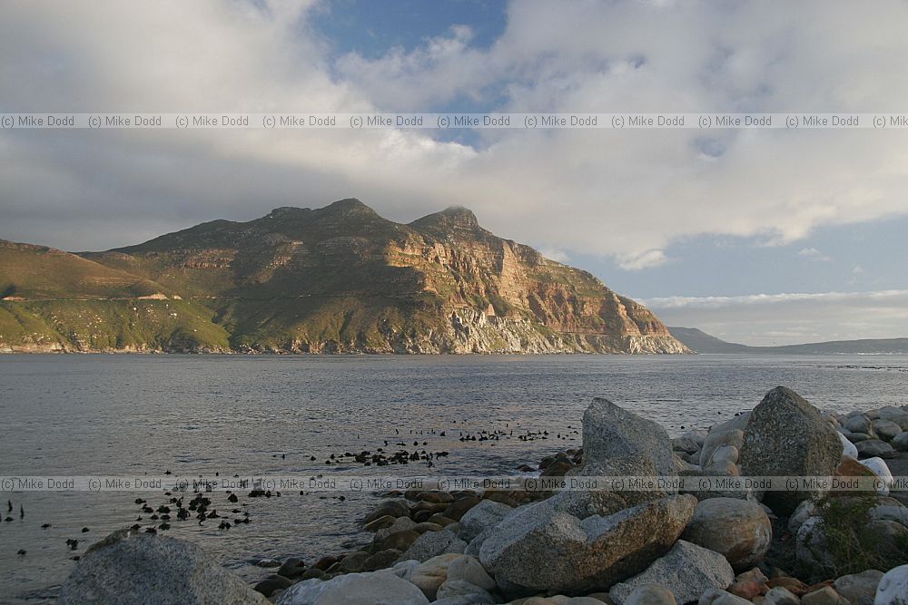 Hout bay towards Chapman's peak