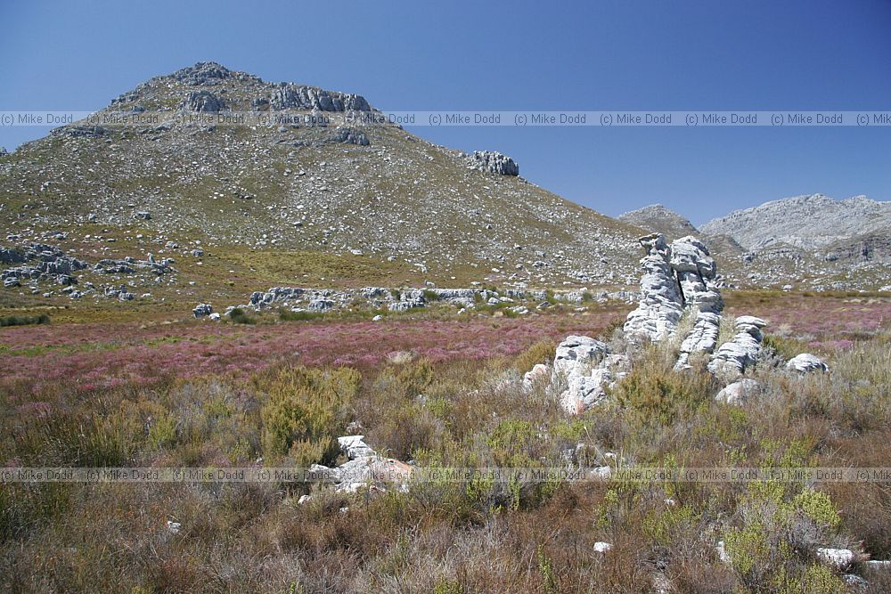 Rock outcrop at New year's peak