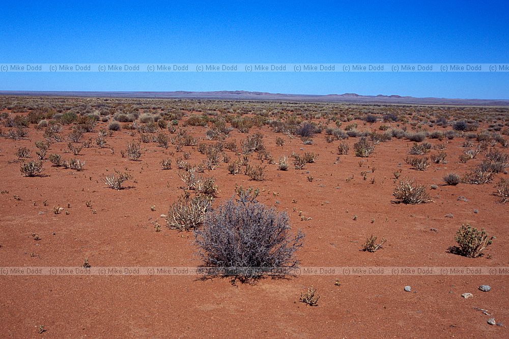 Desert near Pofaader