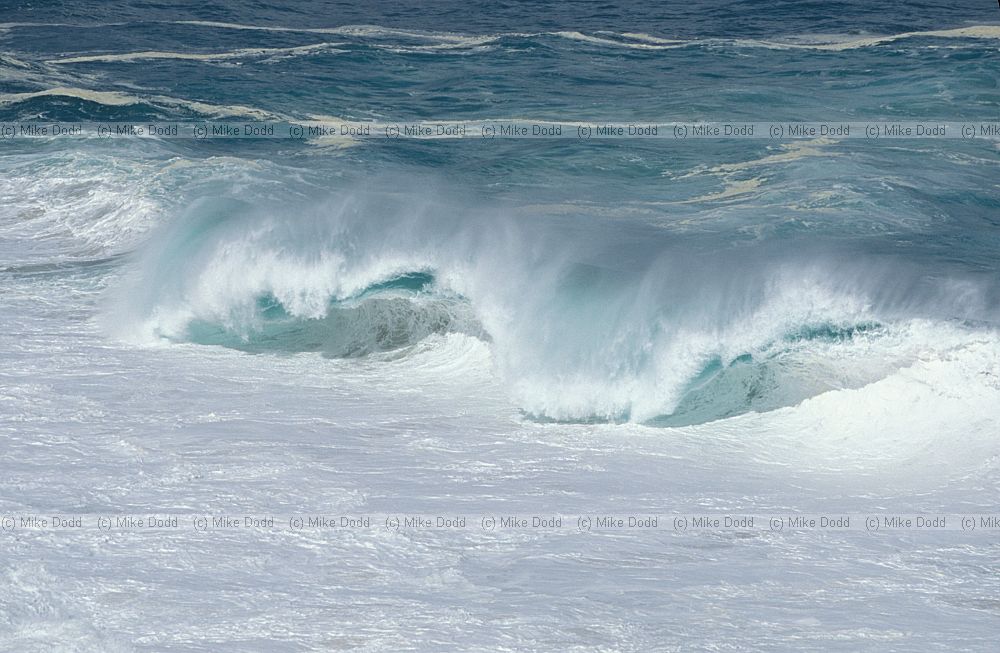 big waves Cape Point