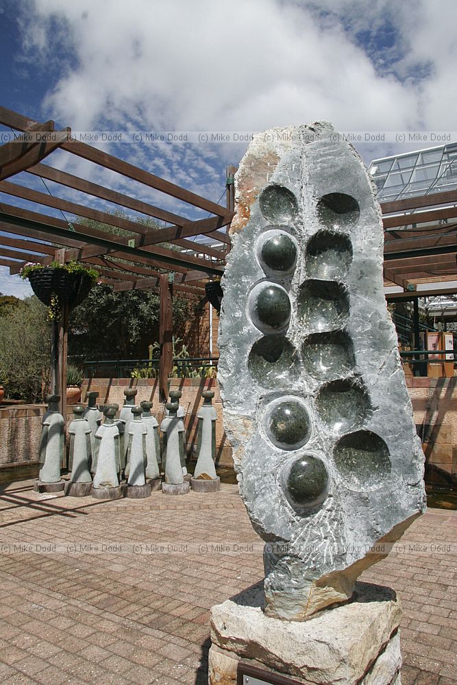 Seed pod sculpture Kirstenbosch botanic garden