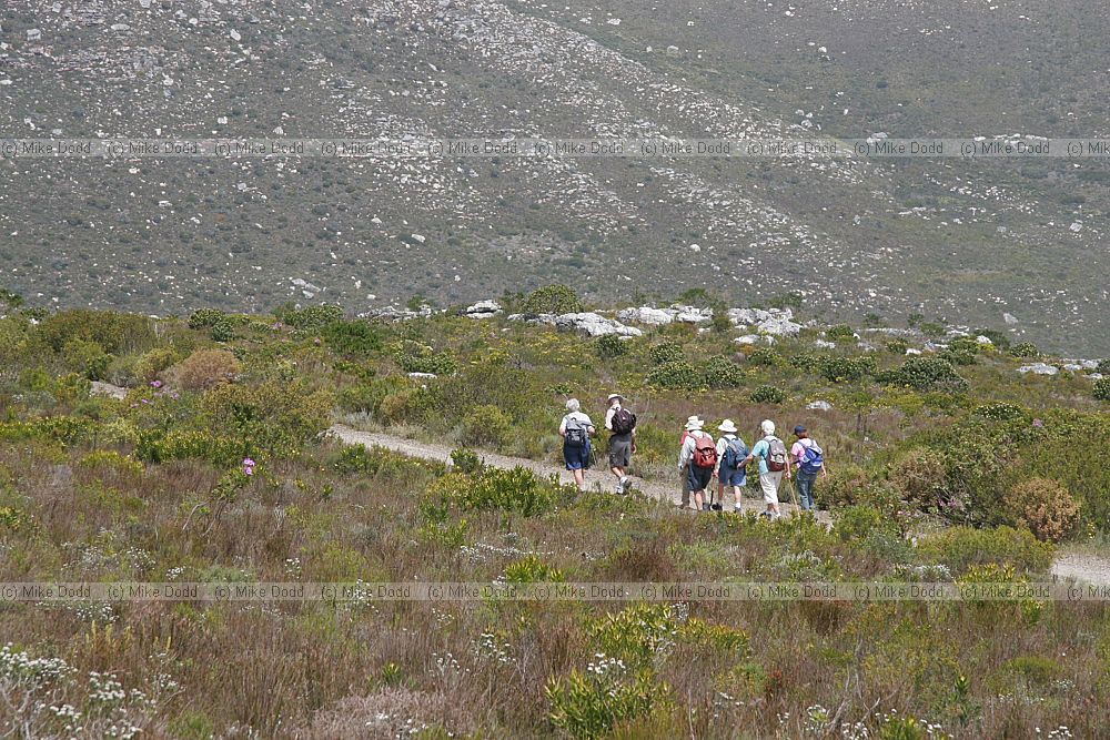 Walkers Silvermine nature reserve Cape Town.  Group of older walkers.