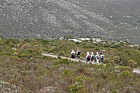 Walkers Silvermine nature reserve Cape Town.  Group of older walkers.