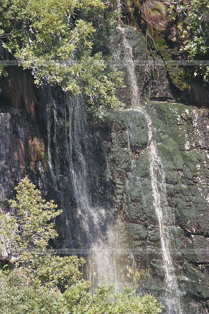 Waterfall at Silvermine nature reserve Cape Town