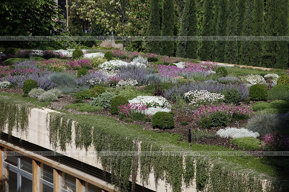 Roof garden Alhambra