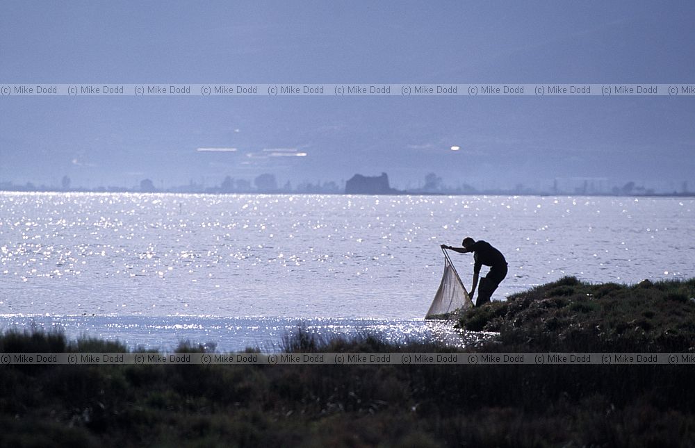 Fisherman Ebro delta